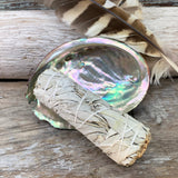 Smudge Kit: White Sage (4-tommer) + Abalone Shell