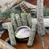 Smudge Kit: White Sage (6-tommer) + Abalone Shell