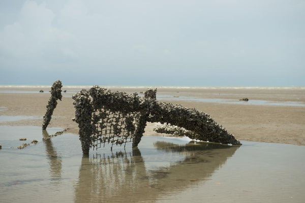 Fulgurite Meaning And Spiritual Properties