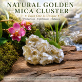 Natürliche goldene Glimmergruppe