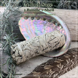 Smudge Kit: Sage (4-Inch) + Abalone Shell