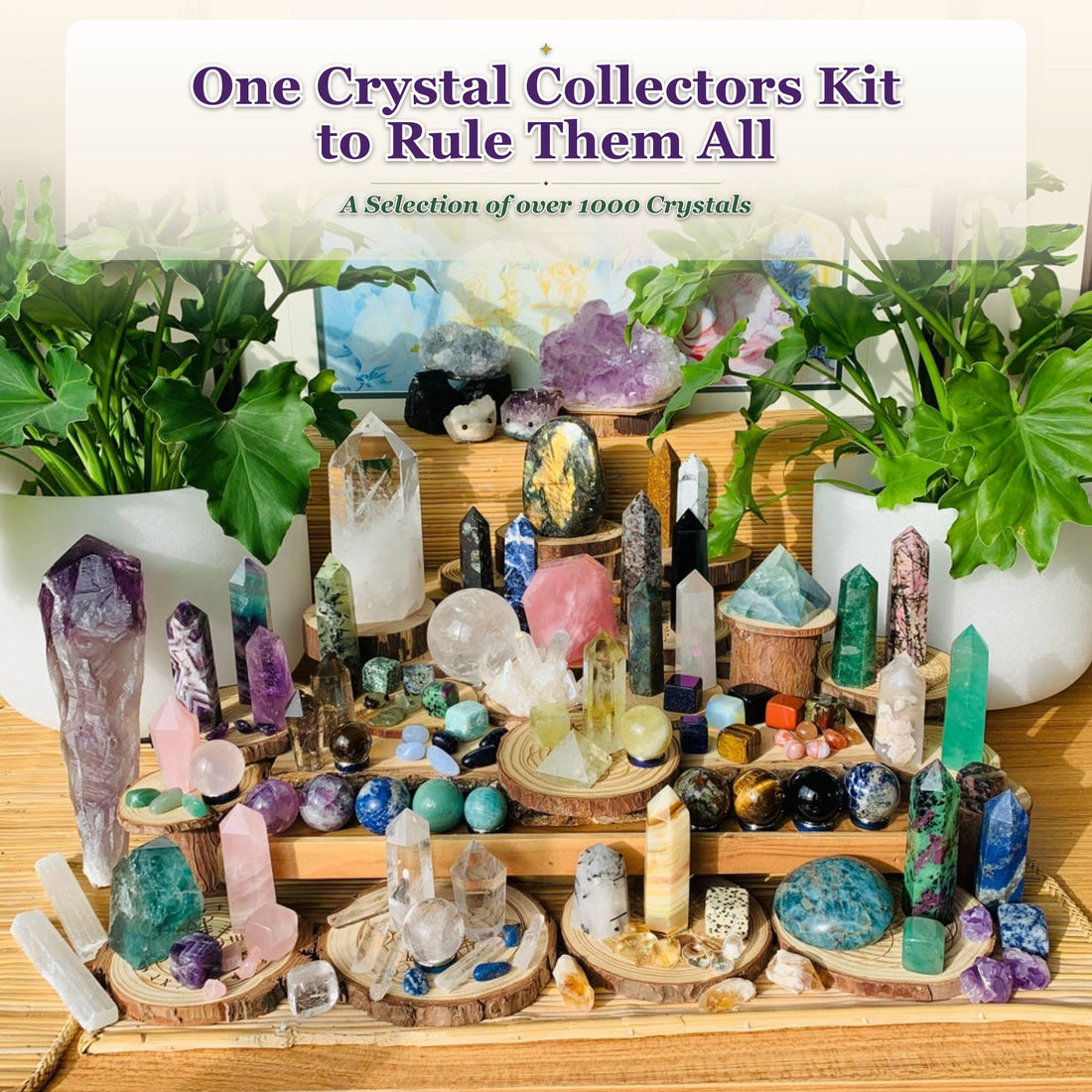 The full collectors kit displayed on tiered wooden stands: amethyst wand and cluster, quartz generator, points, spheres, cubes, pyramids, hedgehogs and selenite sticks
