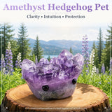 Crystal Ametyst Hedgehog Pet (ADOPT MEG PLEASE) 🥰