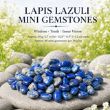 Lapislazuli Mini-Edelsteine (50 Gramm / 1,7 Unzen Lot)
