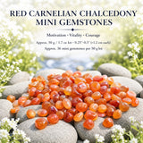 Roter Karneol-Chalcedon-Mini-Edelstein (50 Gramm / 1,7 Unzen Lot)