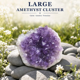 Große Amethystgruppe