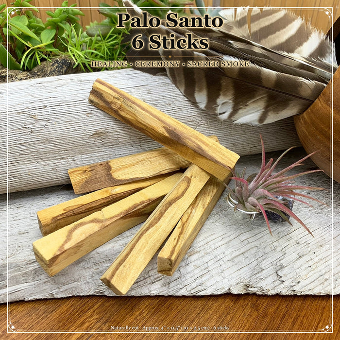 Six thick Palo Santo sticks fanned out on weathered driftwood beside a feather and an air plant