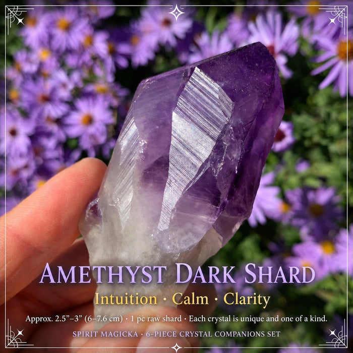 A dark purple amethyst shard held between finger and thumb in front of purple flowers