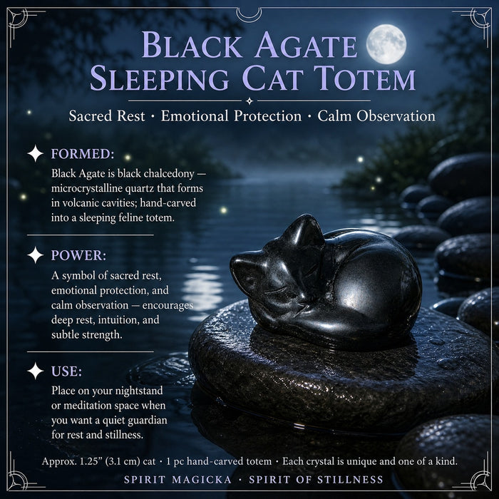 Polished black agate cat carving curled up asleep on a stone