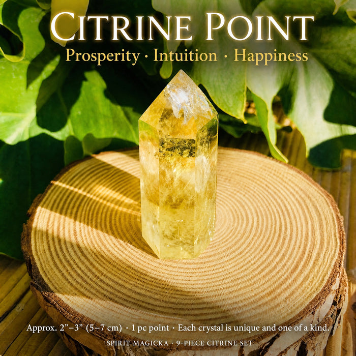 Faceted citrine point standing upright on a wood slice
