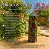 Scatola del tesoro della saggezza della terra del drago