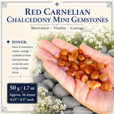 Roter Karneol-Chalcedon-Mini-Edelstein (50 Gramm / 1,7 Unzen Lot)