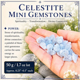 Coelestin-Mini-Edelsteine (50 Gramm / 1,7 Unzen Lot)