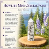 Amethyst Sacred Geometry Faceted Crystal