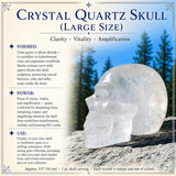 Crystal Quartz Skull (Large Size)