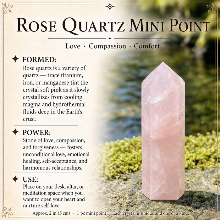 A soft pink rose quartz mini point standing on a mossy rock