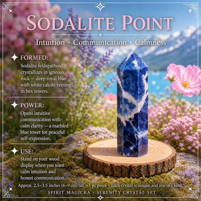Sodalite point, deep royal blue with white veining, standing on a wood round