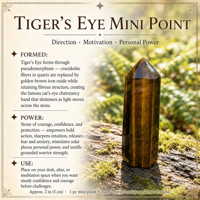 Tiger's eye mini point