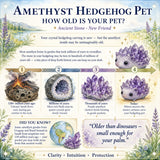 Crystal Ametyst Hedgehog Pet (ADOPT MEG PLEASE) 🥰