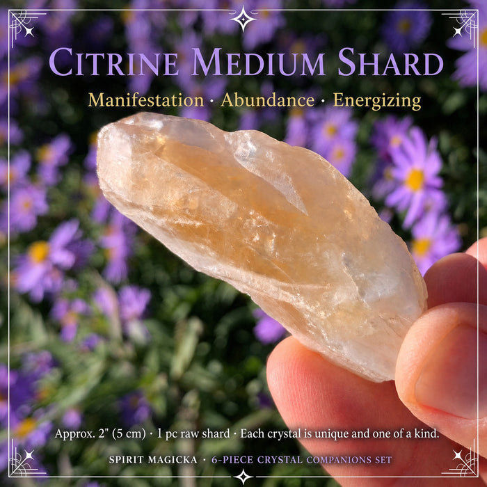 A golden citrine shard held up in fingertips against purple flowers