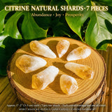8-Piece Lapis Lazuli + Citrine Shards Set