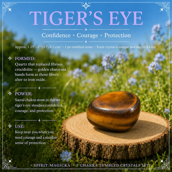 A golden-brown banded tiger eye tumbled stone on a wood slice in a meadow