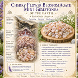 Kirschblüten-Achat-Mini-Edelsteine (50 Gramm / 1,7 Unzen Lot)