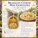 Brasilianische Citrin-Mini-Edelsteine (50 Gramm / 1,7 Unzen Lot)