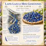 Lapislazuli Mini-Edelsteine (50 Gramm / 1,7 Unzen Lot)