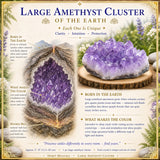 Große Amethystgruppe