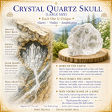 Crystal Quartz Skull (Large Size)