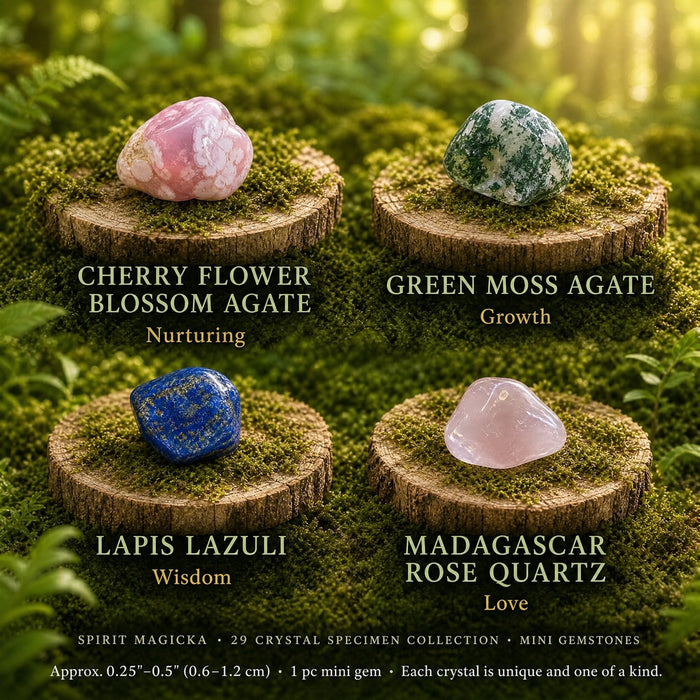 Mini cherry flower blossom agate, green moss agate, lapis lazuli and Madagascar rose quartz on moss-topped wood slices