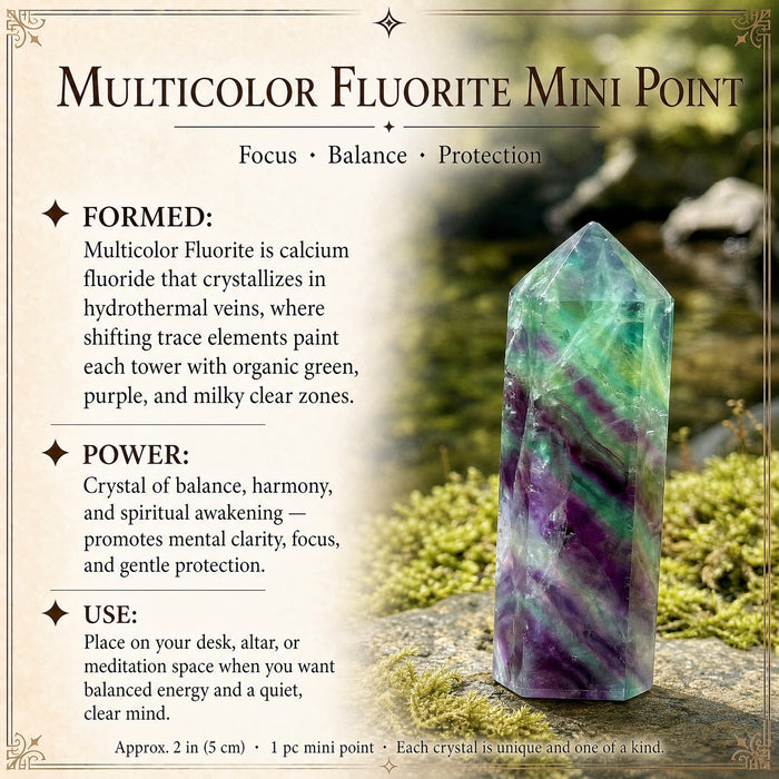 A multicolor fluorite mini point banded in green and purple on a mossy rock