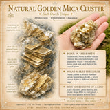 Natürliche goldene Glimmergruppe