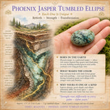 Ellipse roulée en garniérite