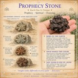 Stein der Prophezeiung