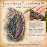 Regenbogen-Pfau-Titan-Kyanit-Fächer