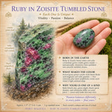 Ruby σε Zoisite Tumbled Stone