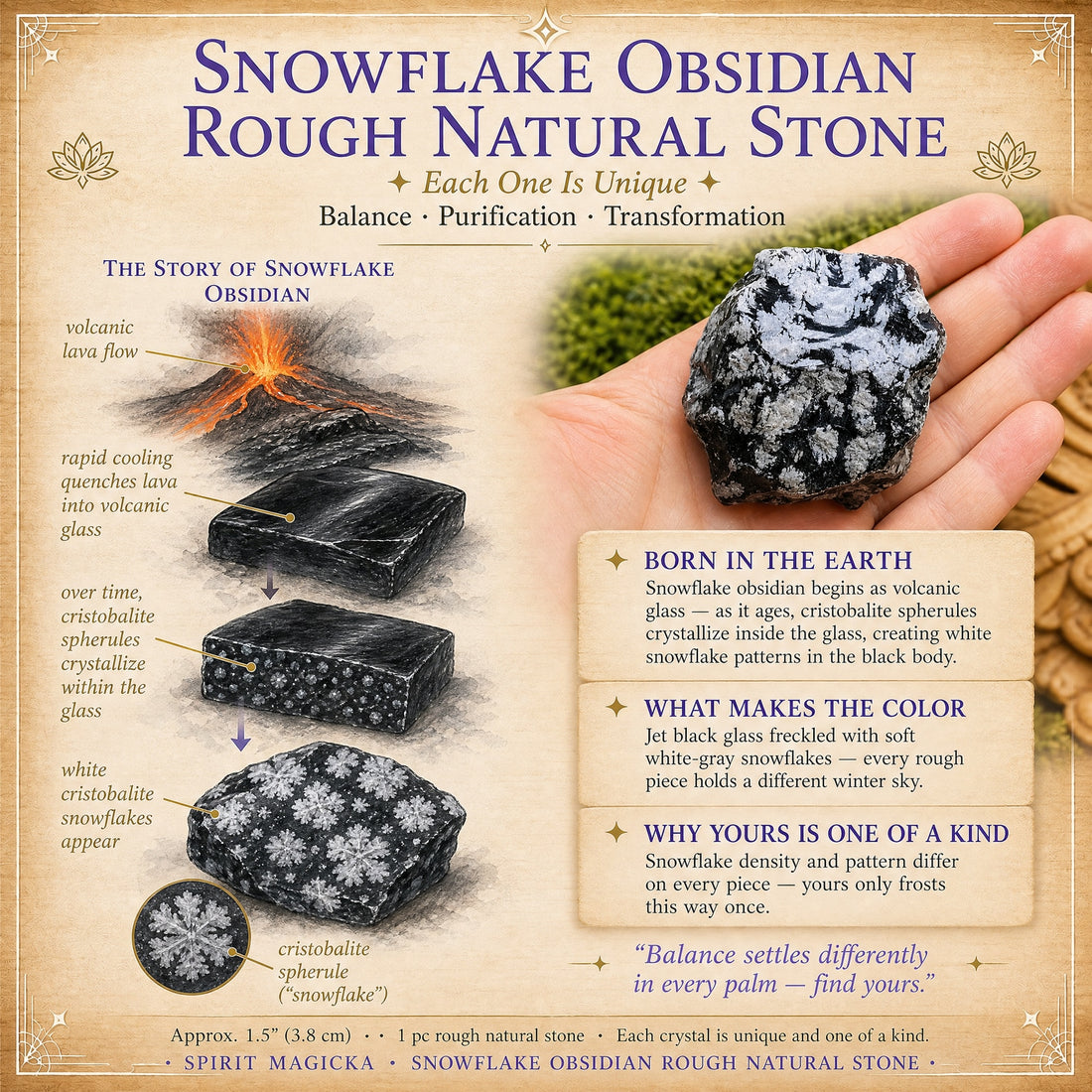 Illustrated story of snowflake obsidian from lava flow to volcanic glass to white cristobalite snowflakes, beside a rough piece resting in an open hand