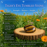 Tiger's Eye Point & Mala Bracelet Inspiration Crystal Set 🙏