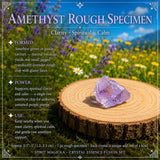 Σετ θήκης Crystal Essence Fusion