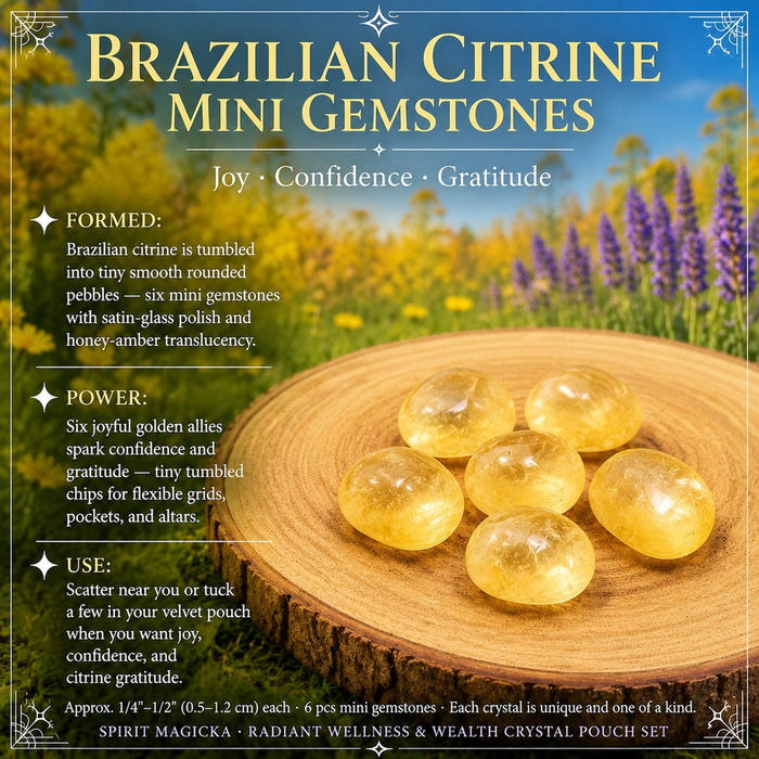 Six small tumbled honey-gold citrine gemstones on a wooden slice