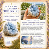 Celestite Geode Cluster