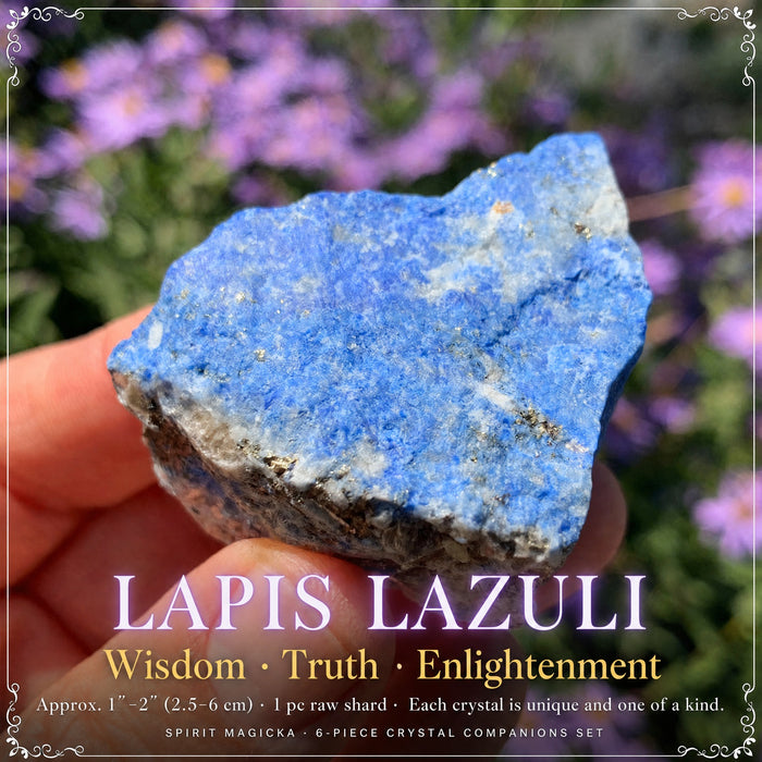 A rough blue lapis lazuli piece held in fingertips in front of purple flowers