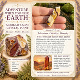 Ametist Sacred Geometri Faceted Crystal