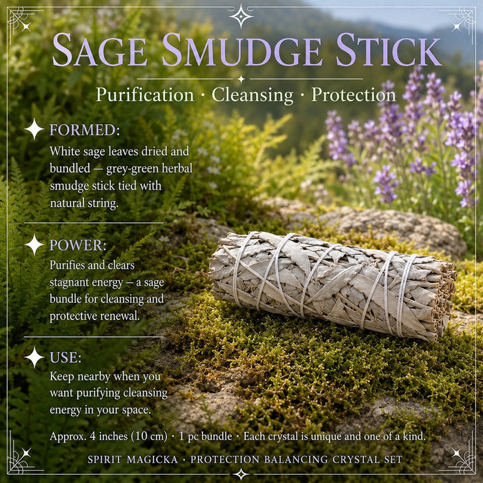 Bundle of dried grey-green white sage tied with string on moss