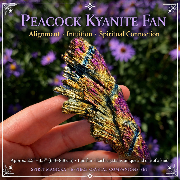A rainbow peacock kyanite fan held in fingertips against purple flowers