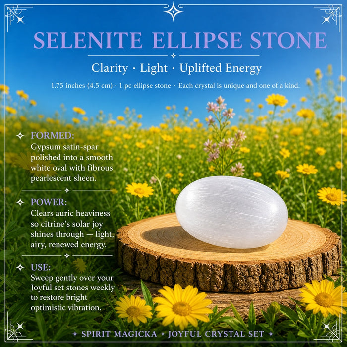 A smooth white selenite ellipse stone on a wooden slice