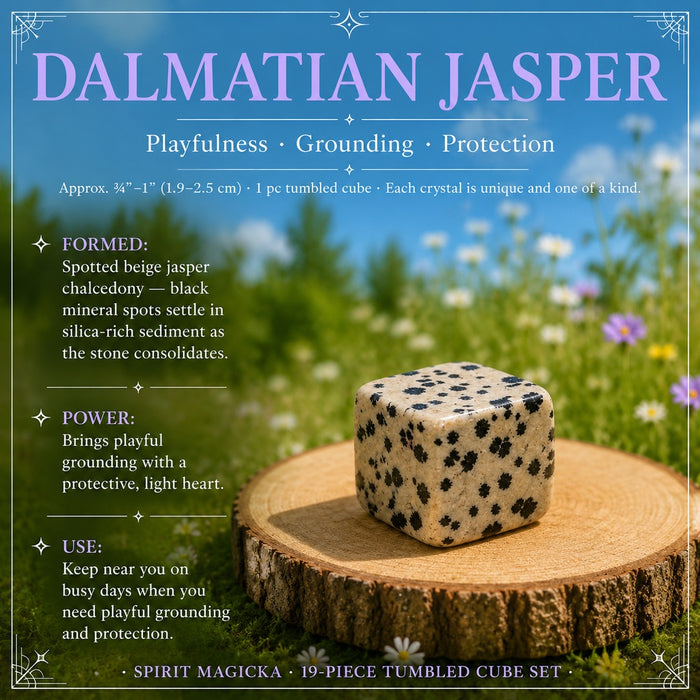 Dalmatian Jasper tumbled cube on a wooden round in a wildflower meadow