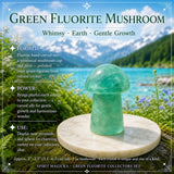 Kit collettori di fluorite verde